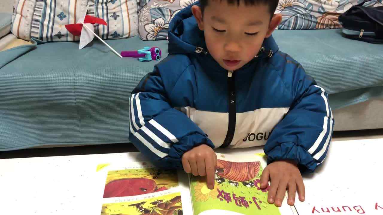 复习语言书13-22页的内容