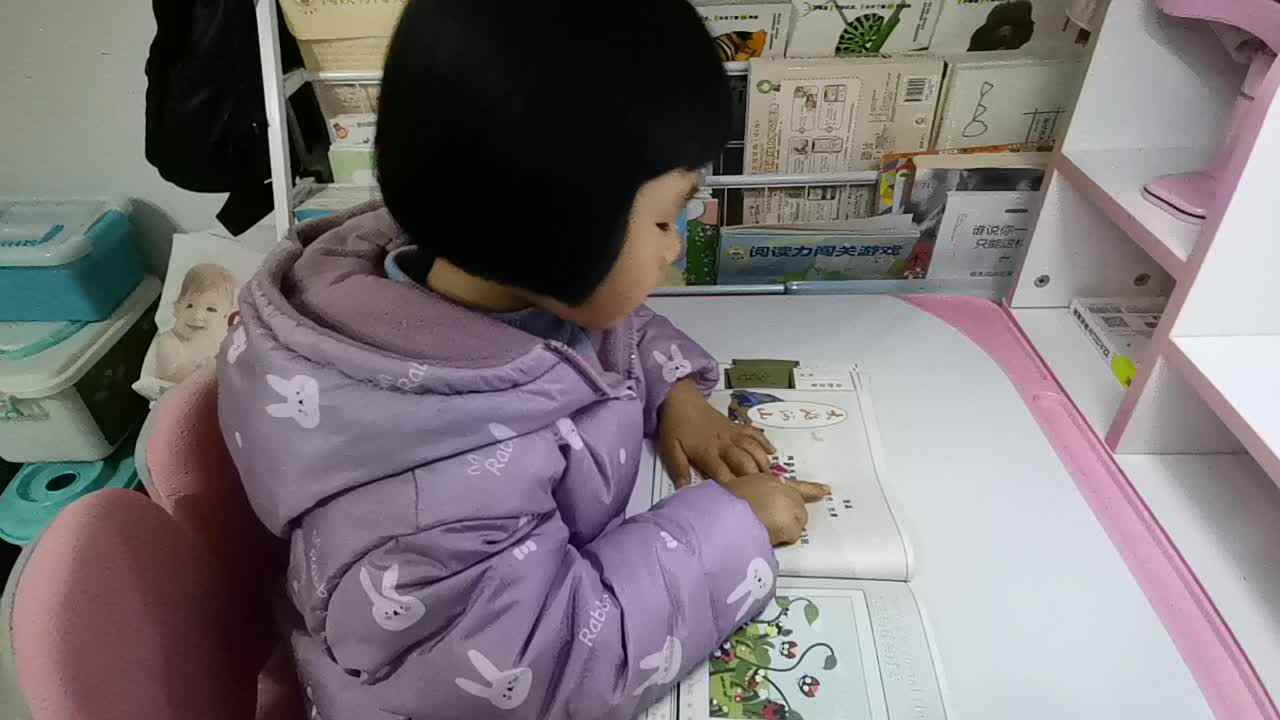 指读古诗《登高》.mp4