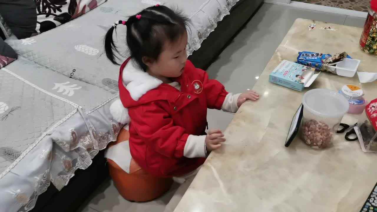 十二生肖