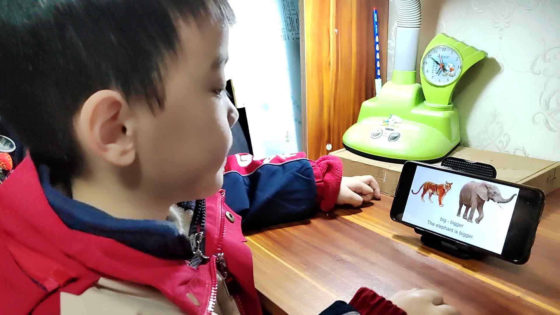 VID_20240112_193828.mp4