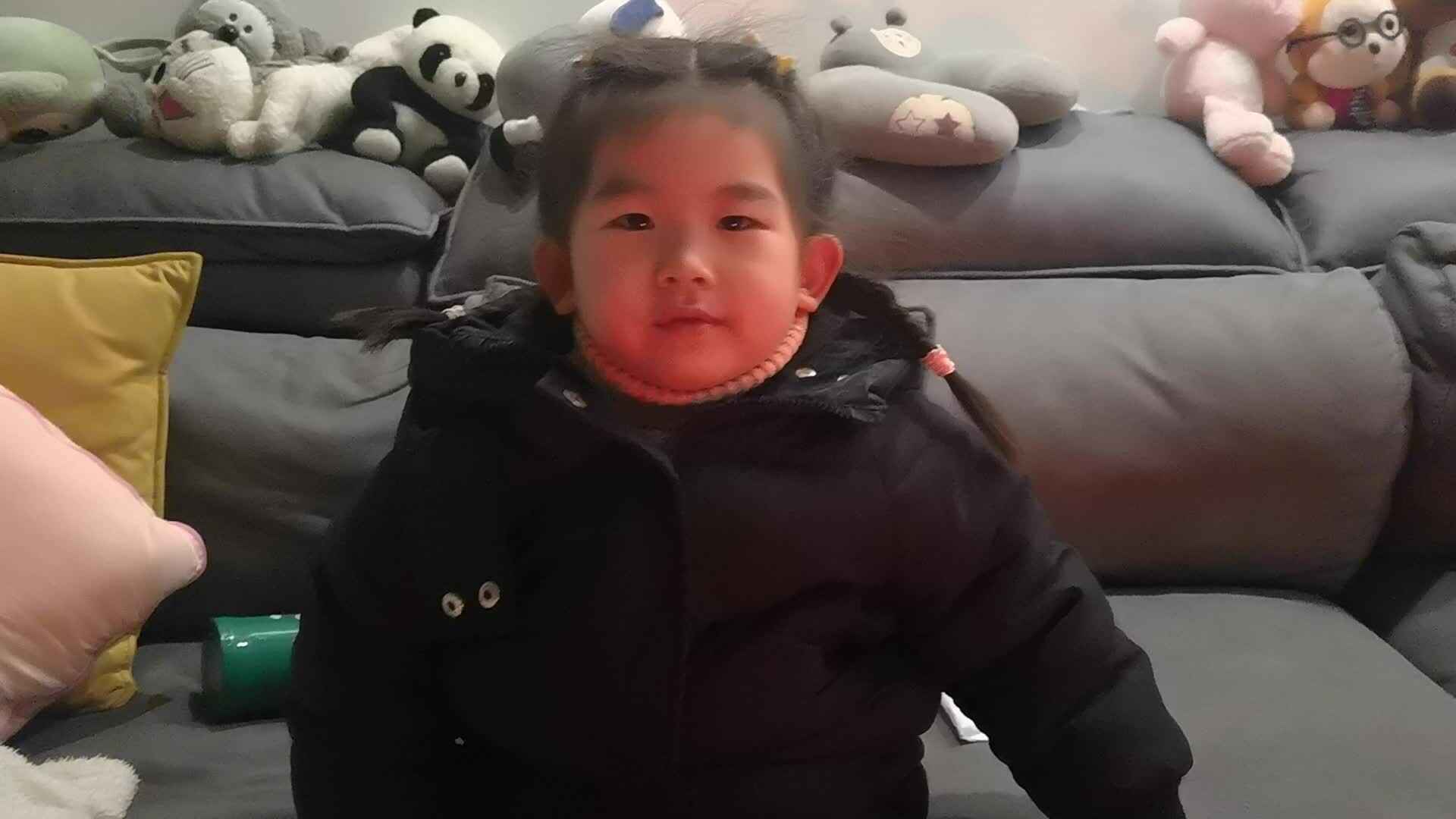 十二生肖的故事.mp4