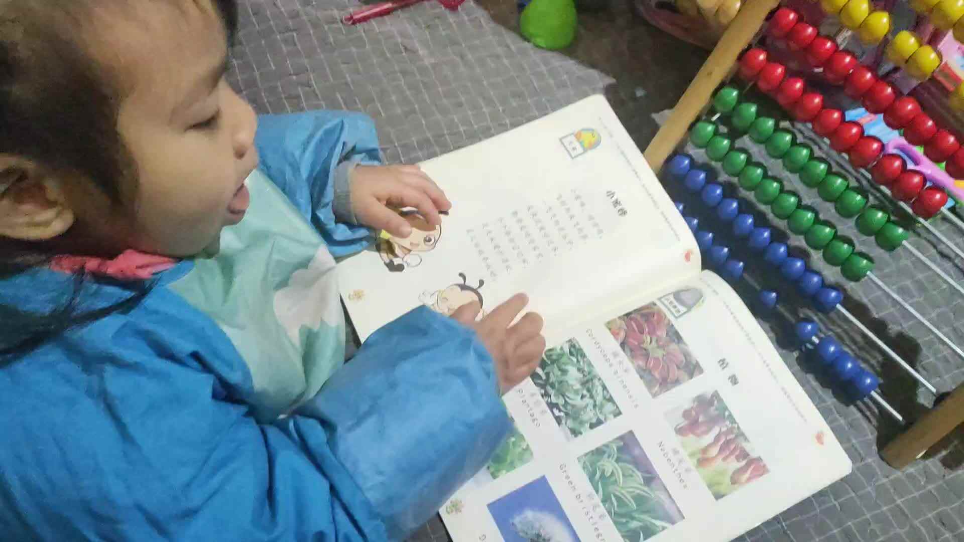 2024.1.25语言书23-26页复习.mp4