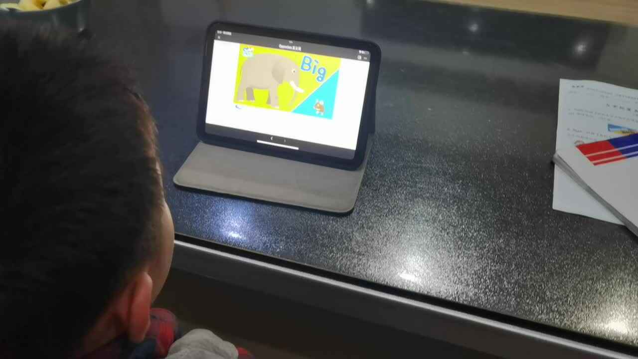 VID_20240105_213135.mp4