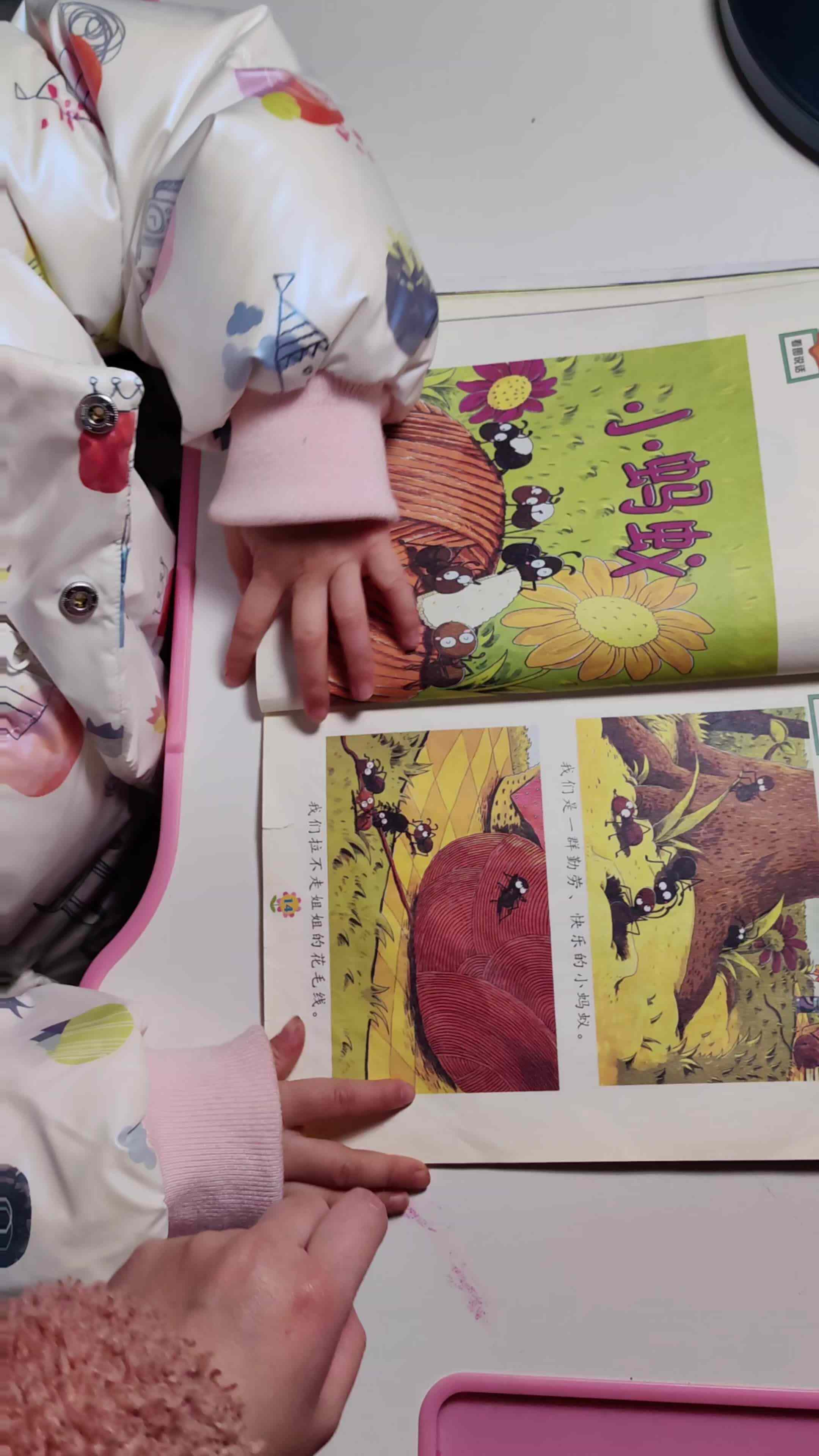 中B班徐子伊复习课本