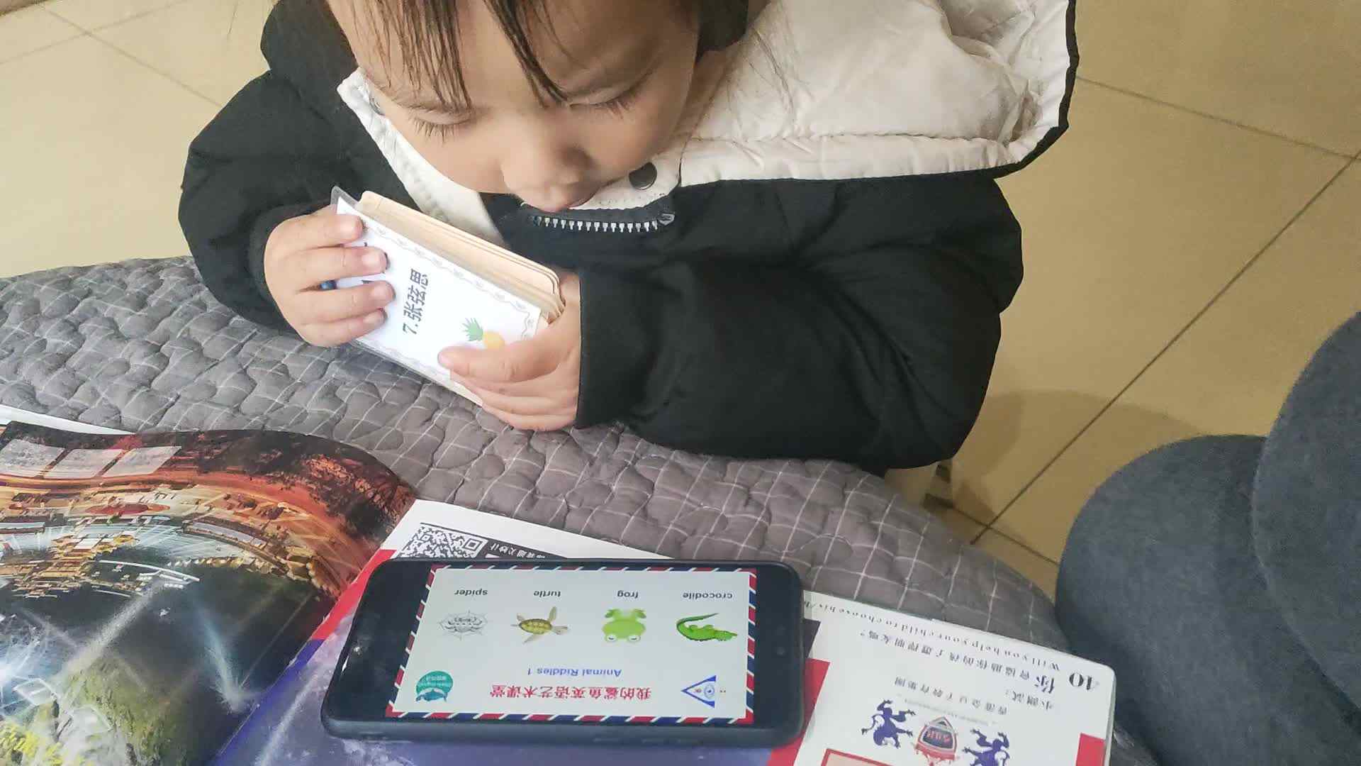 ⁣2023.12.39Animal1.mp4