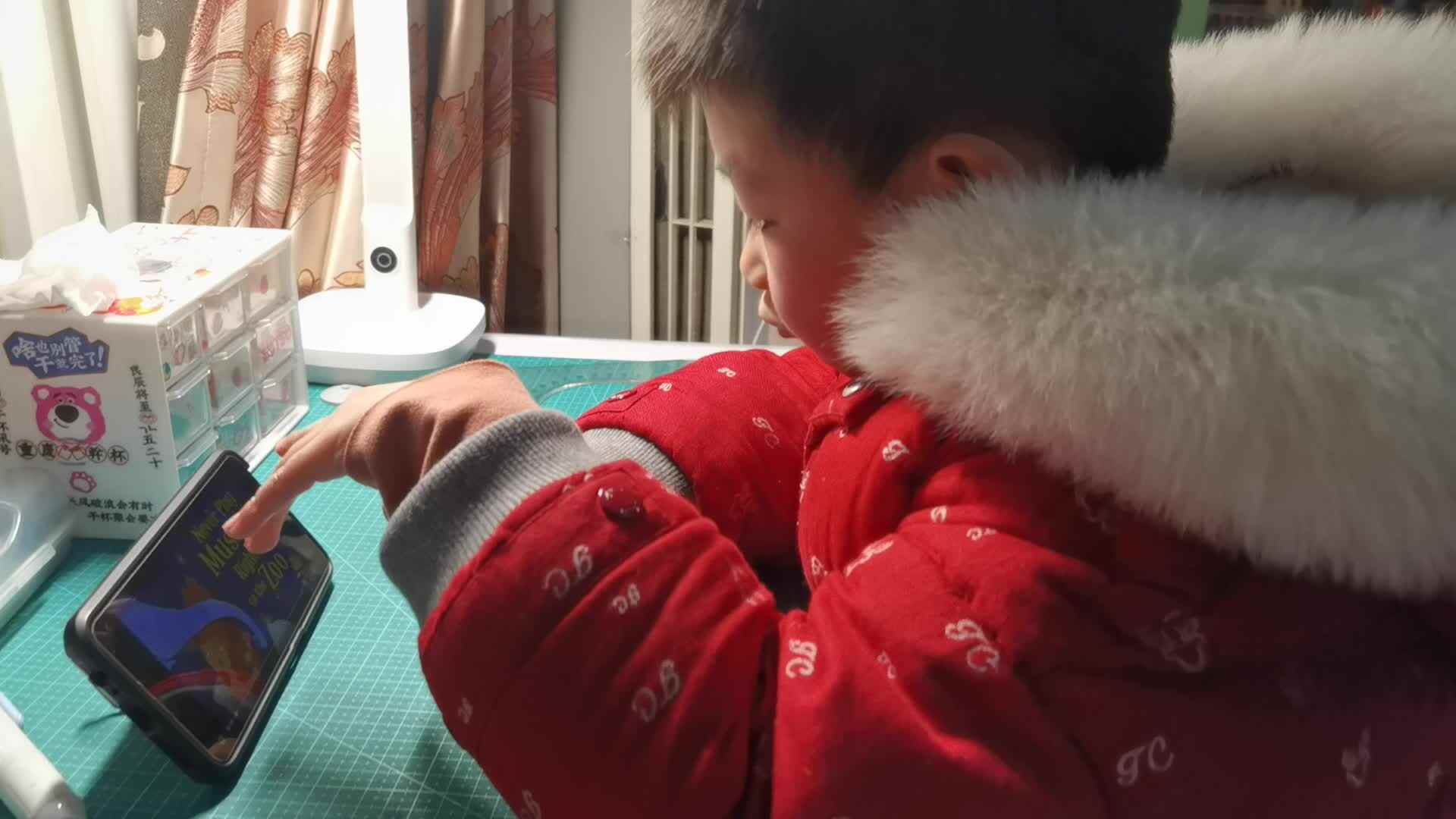 看绘本Never Play Music Right Next to The Zoo  .mp4