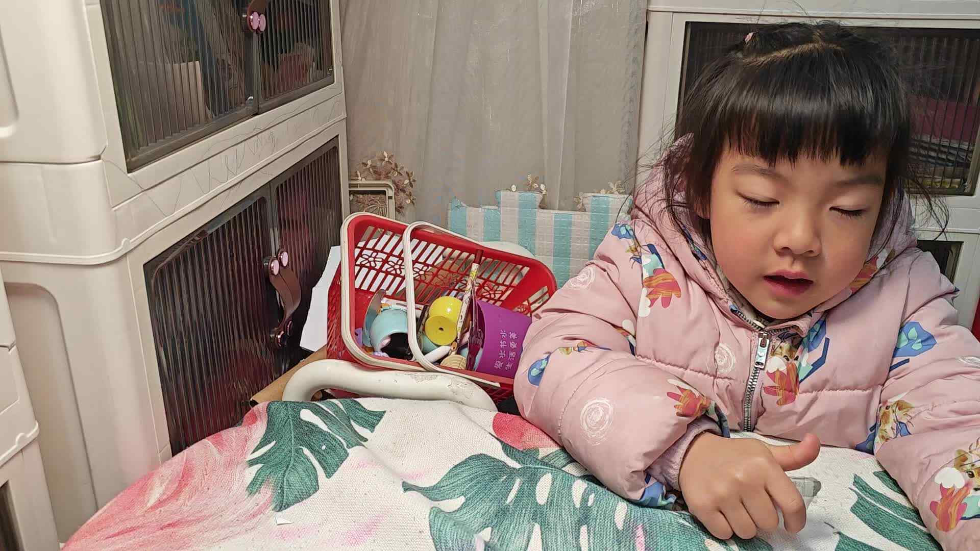 20240227大B班魏琪珈1---100.mp4