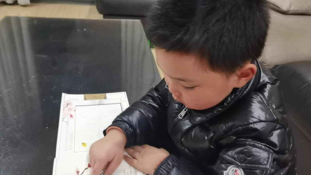 VID_20240229_202830.mp4