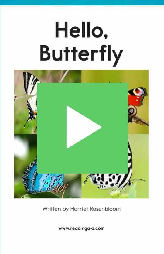 Hello Butterfly 你好，蝴蝶.mp4