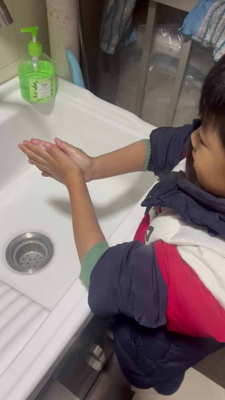 实验大班文浚棵2024.2.26