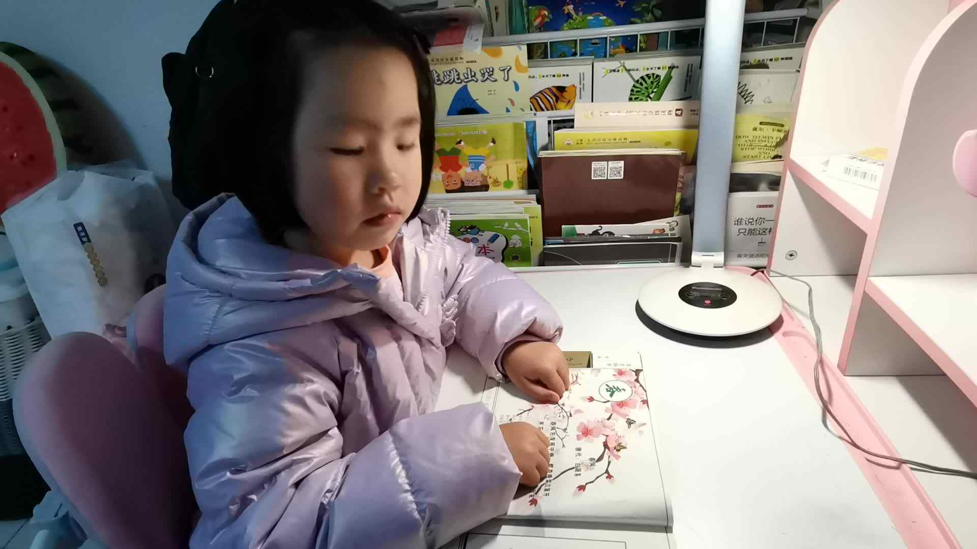 指读古诗《春风》.mp4