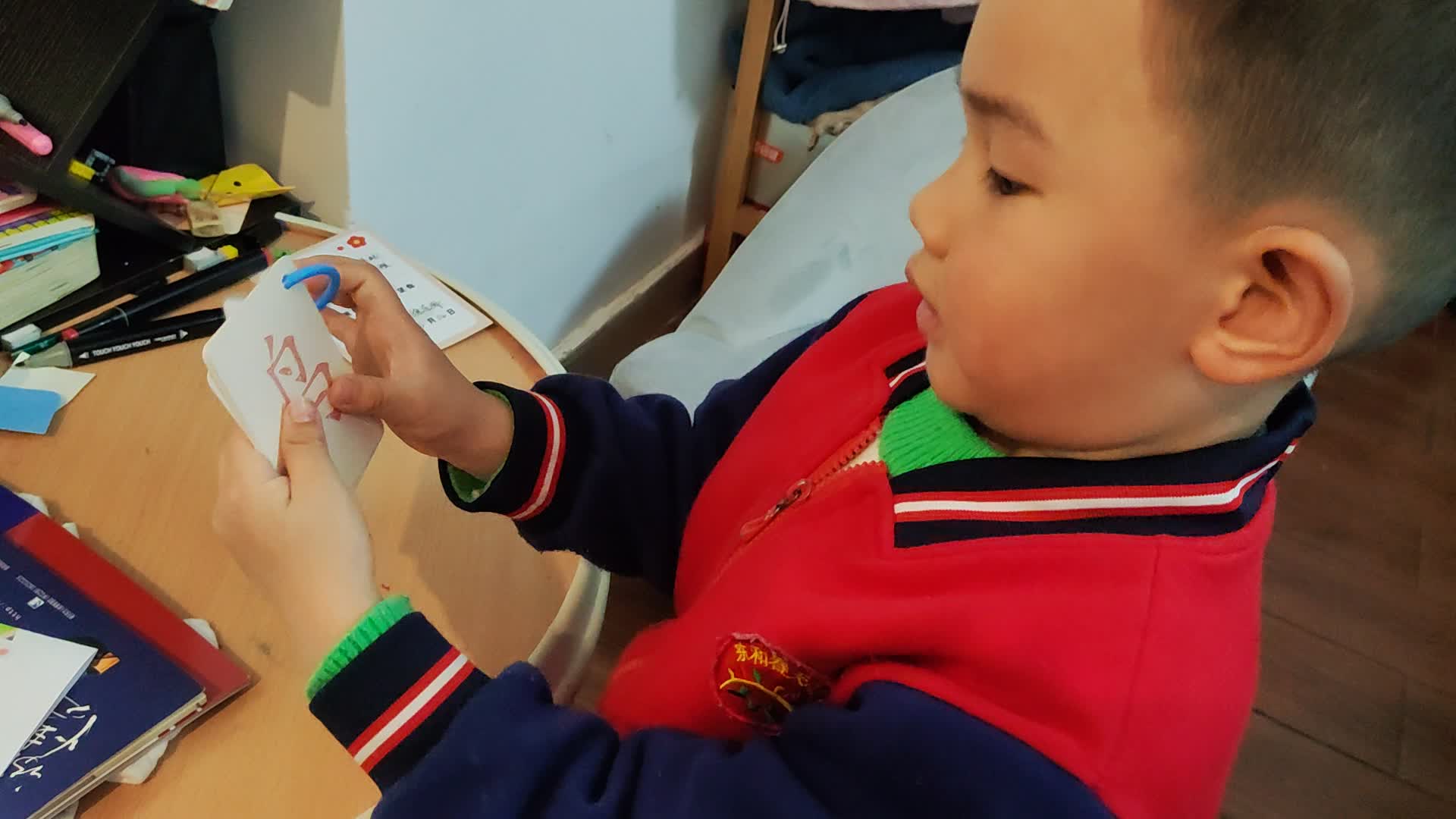 中B班李锦城3月15_识字卡马羊鱼虫鸟