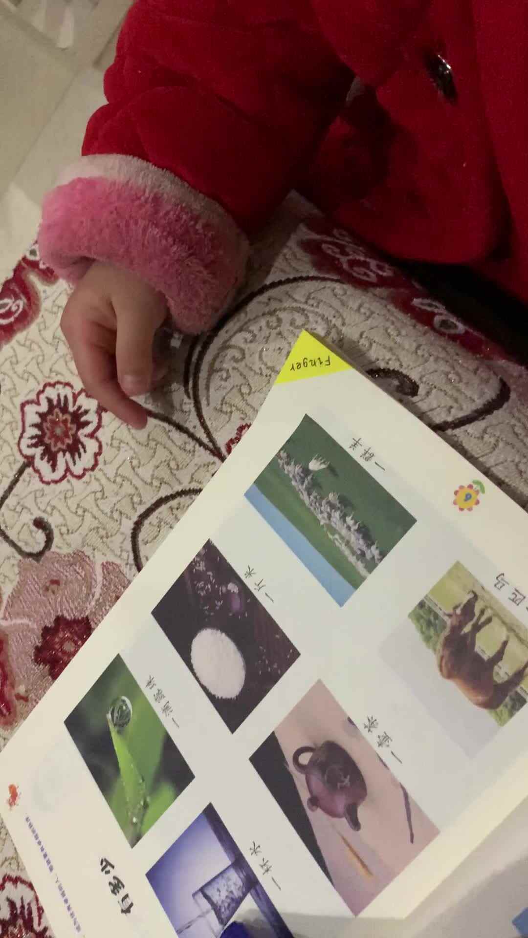 指认物品并说出数量