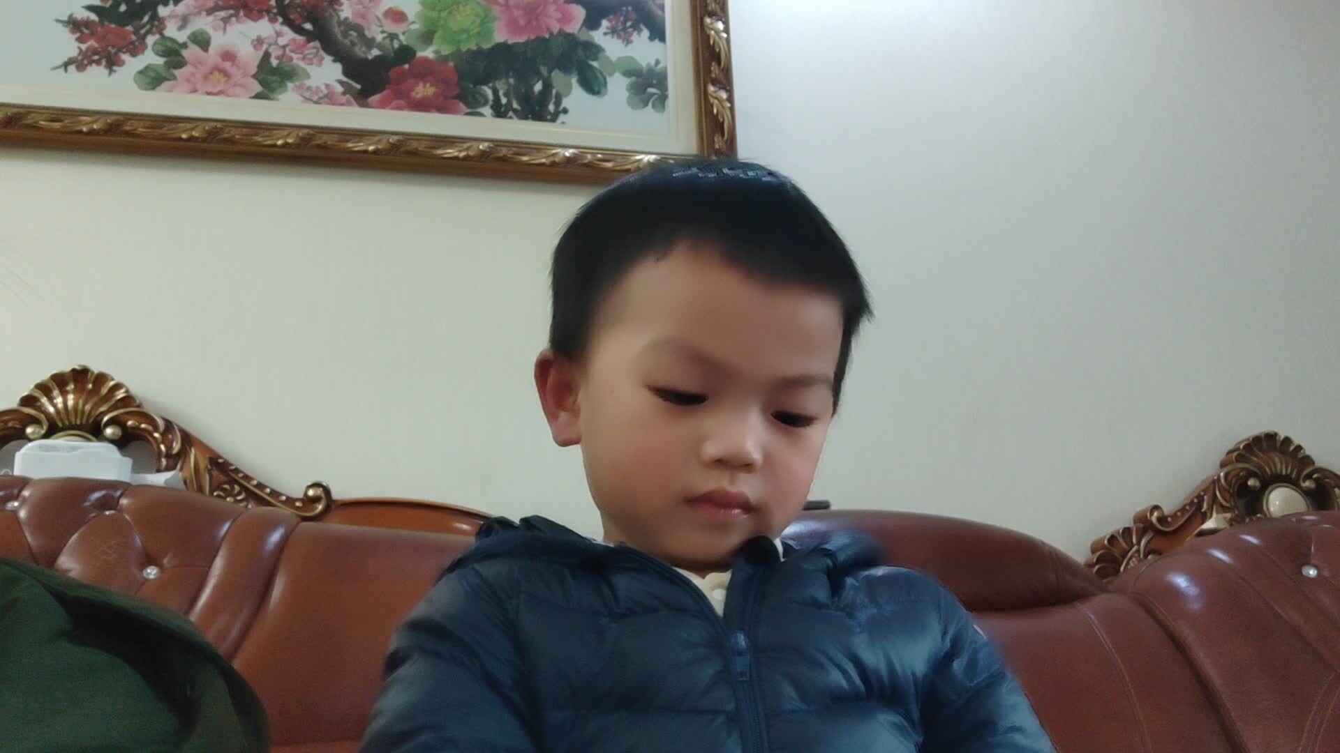 小a班2024.3.10陈禹呈—英语口语练习