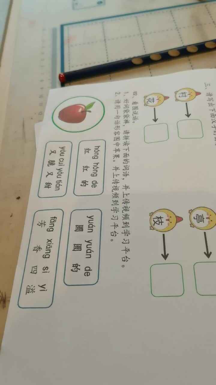 请用一句话形容图中苹果
