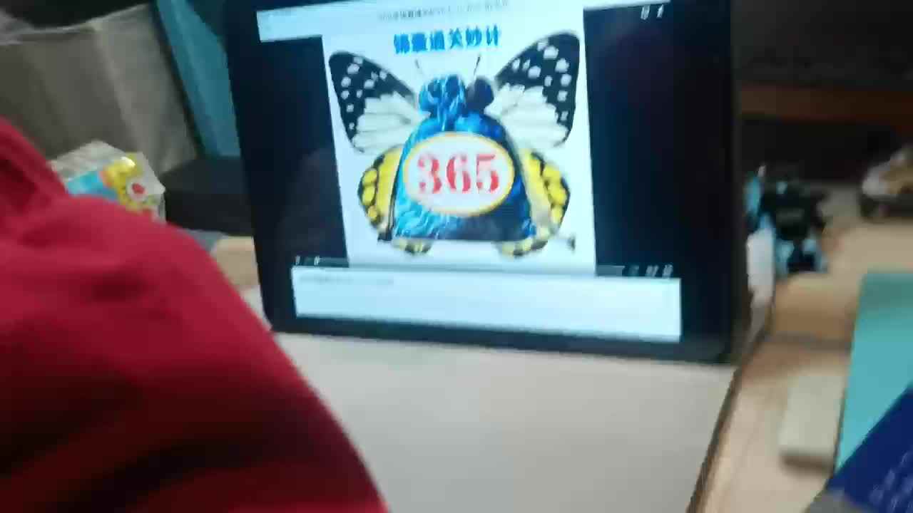 观看365号锦囊通关妙计