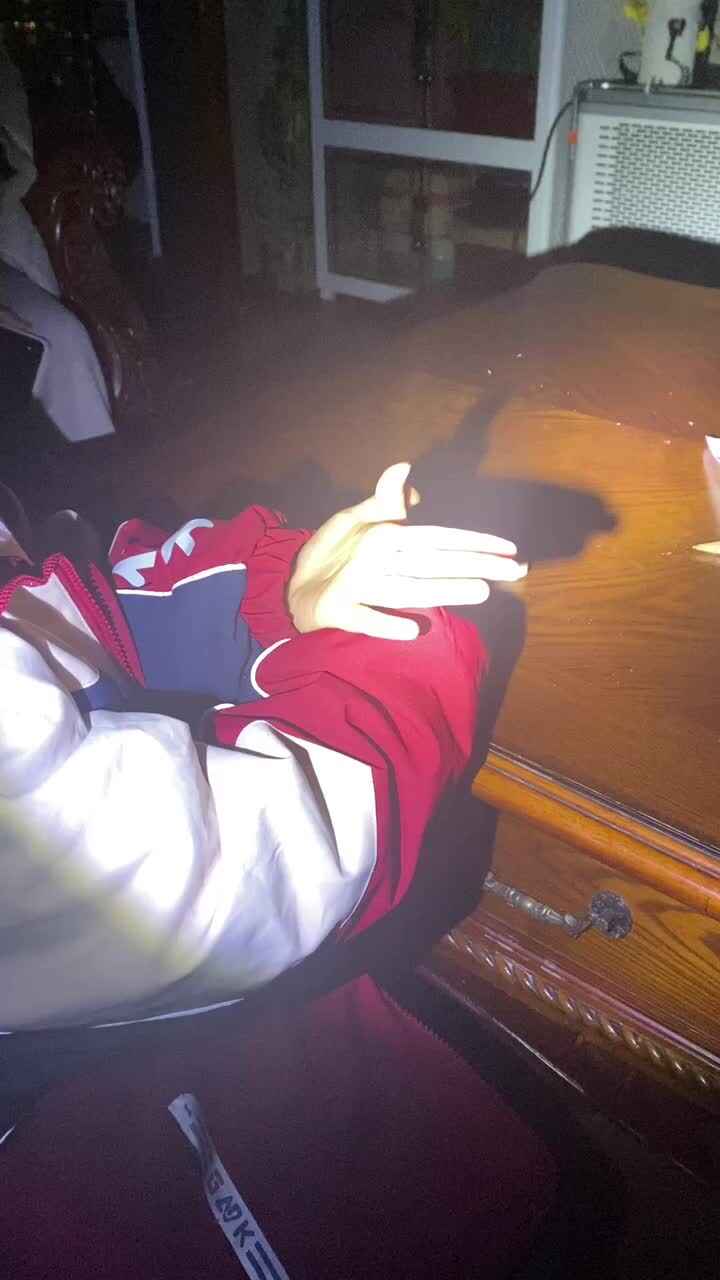 2024.3.13手影游戏