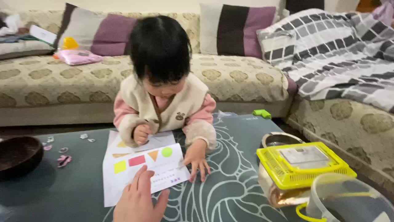 小A班2024.3.14张艺涵-认识形状.MOV