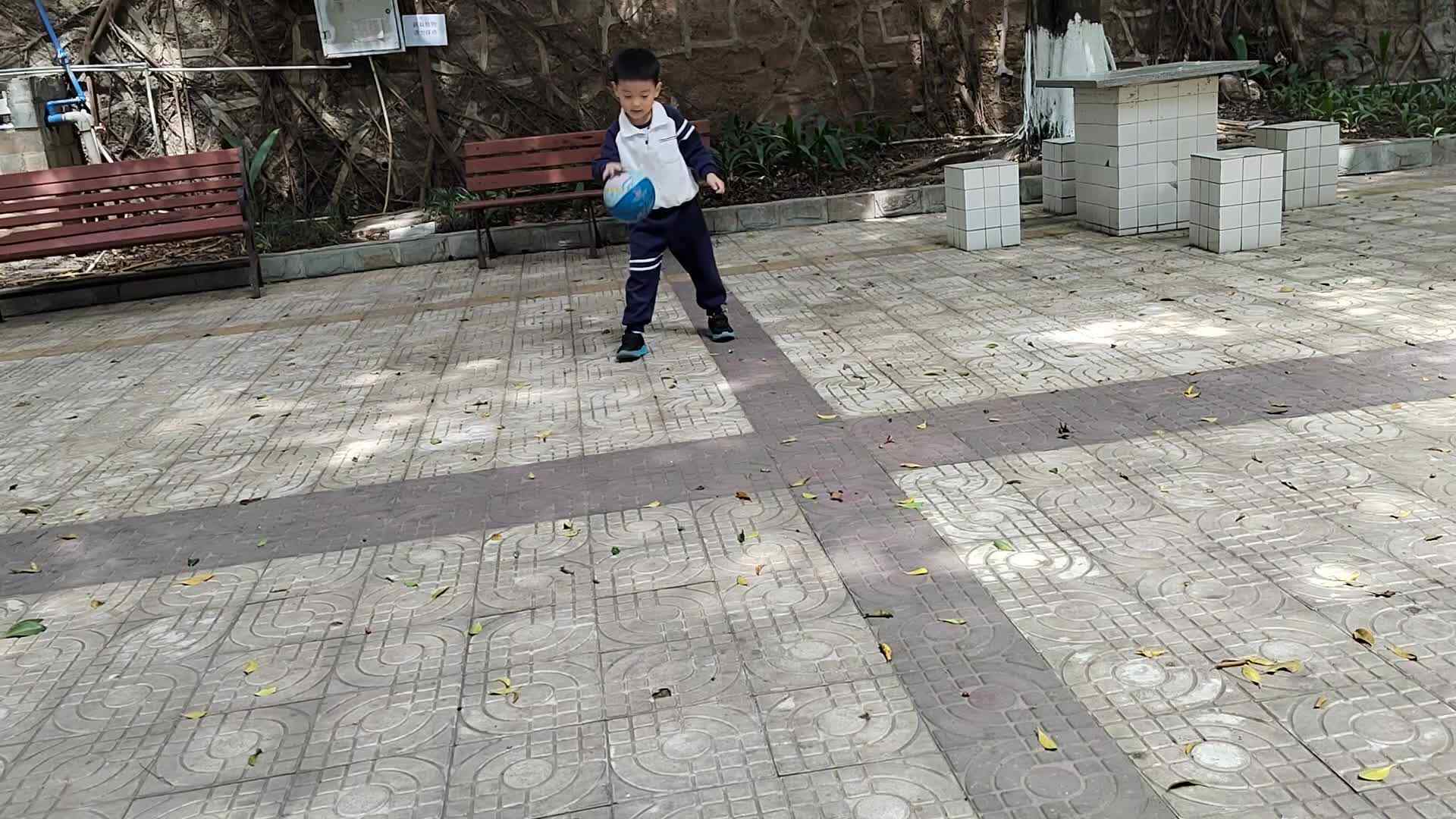 VID_20240331_125636.mp4