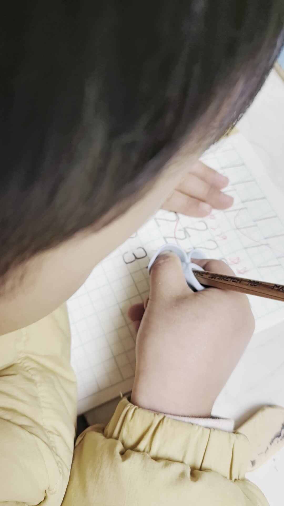 2024.3.6李梓睿田字格写3