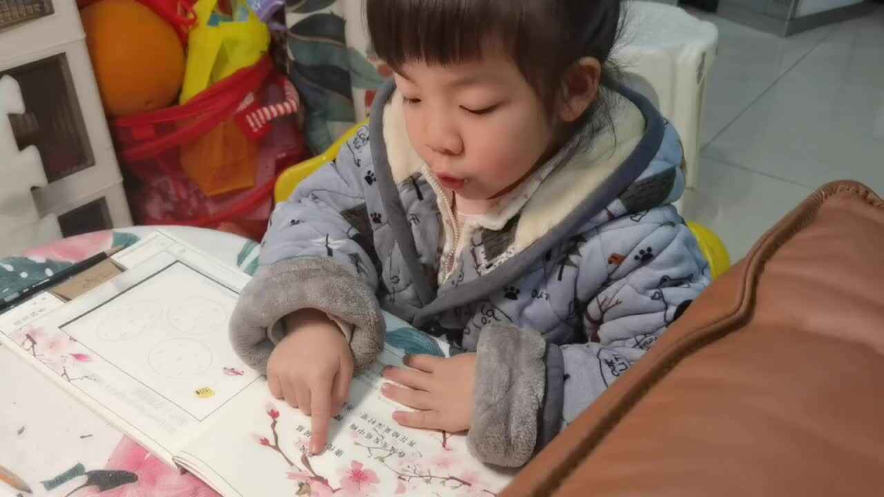 ⁣⁣20240306大B班魏琪珈指读古诗《春风》.mp4