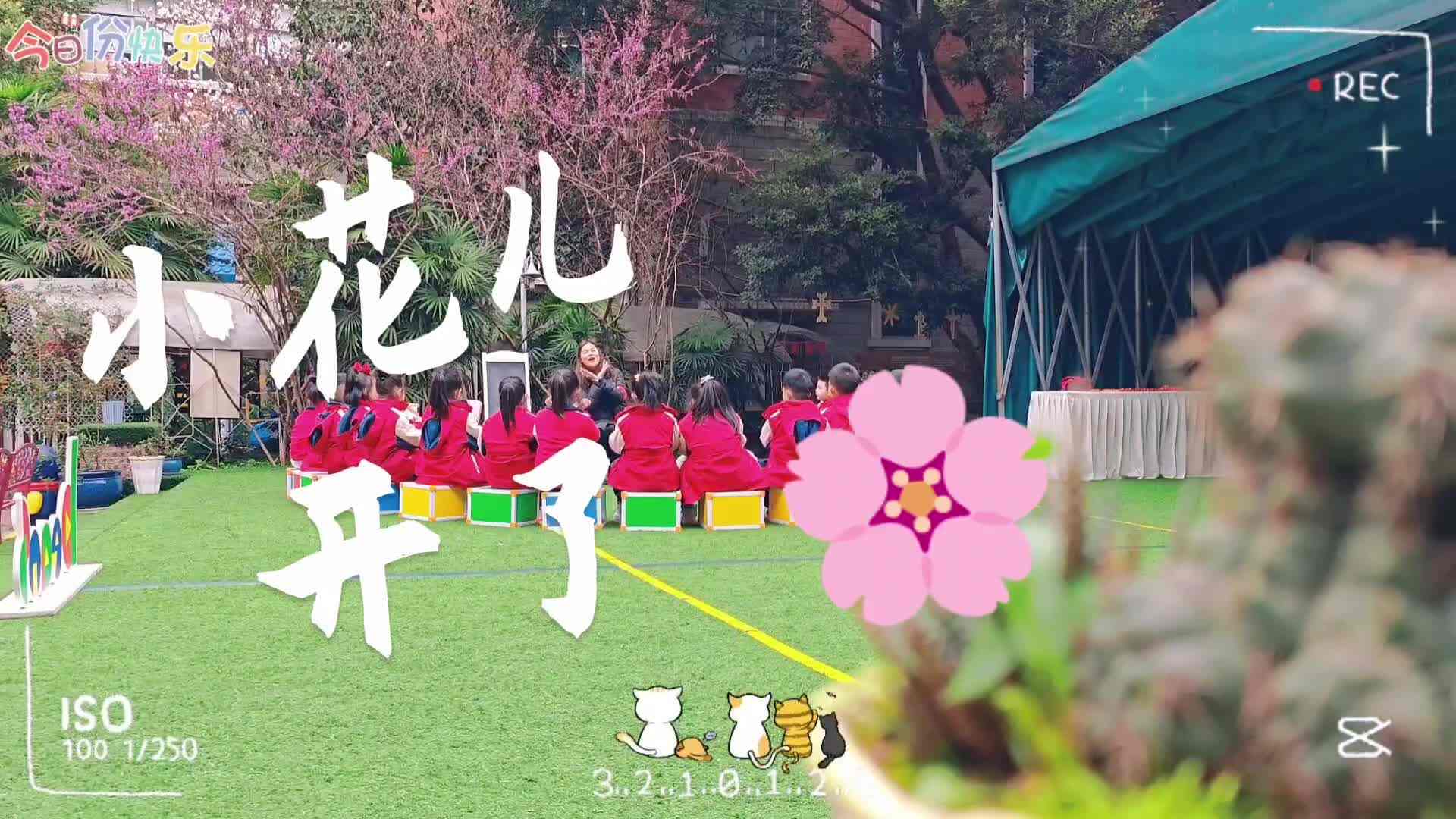 小花儿开了