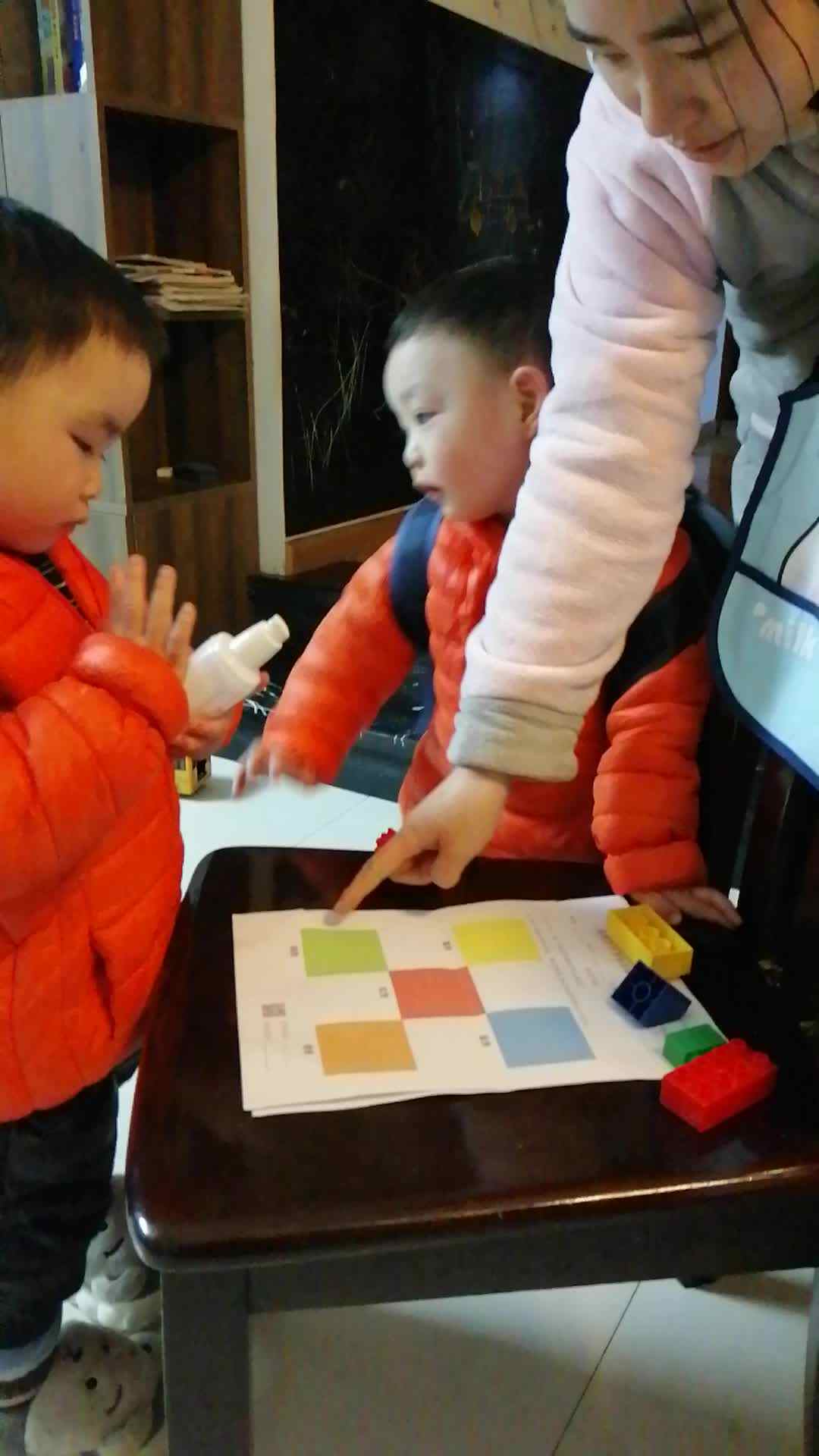 小A班2024.2.29李柯辰李柯佑-颜色分类.mp4