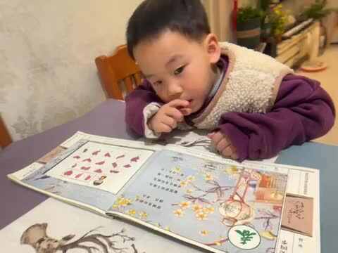 学古诗240305.MOV
