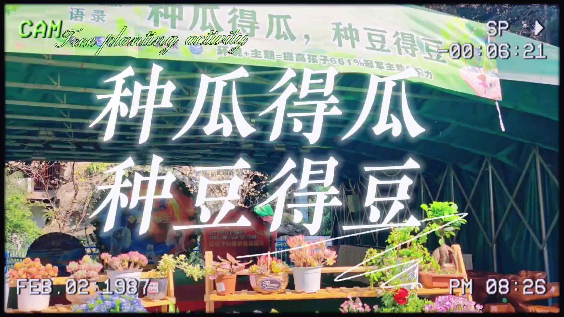 种瓜得瓜 种豆得豆