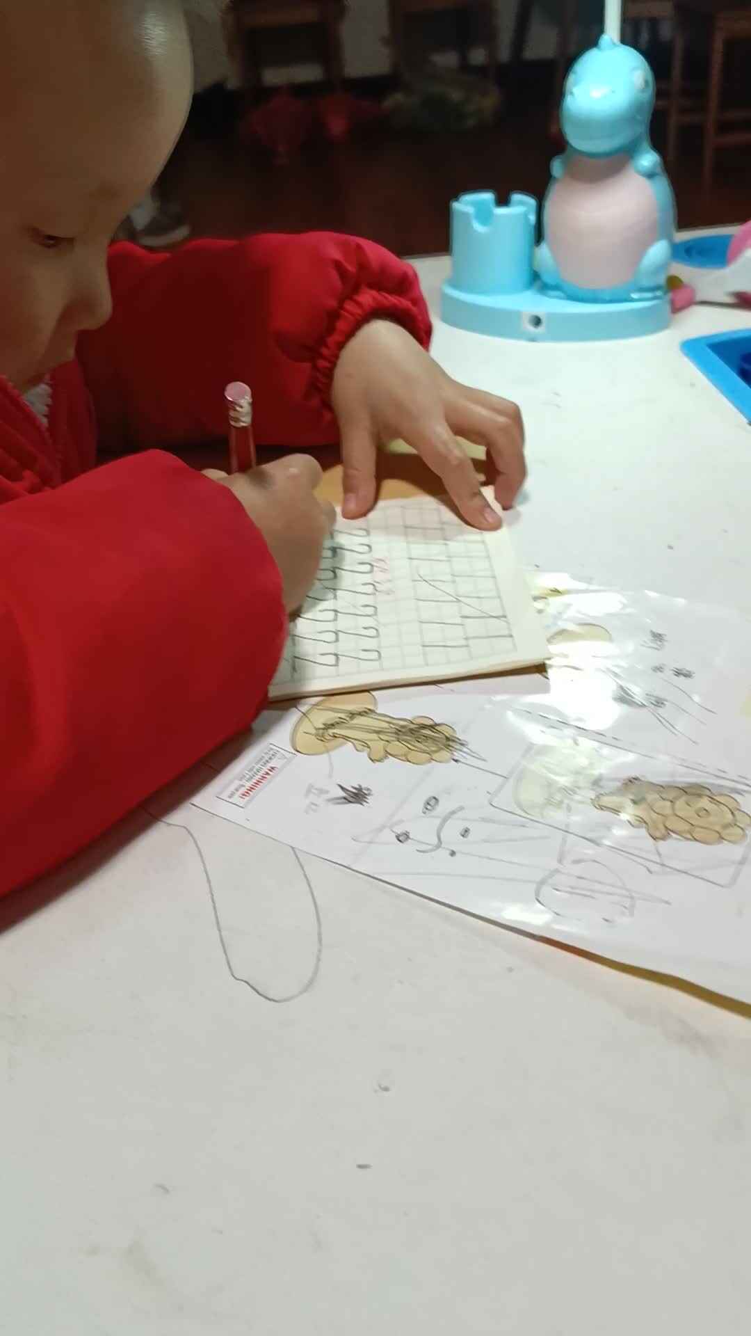 VID_20240306_200304.mp4