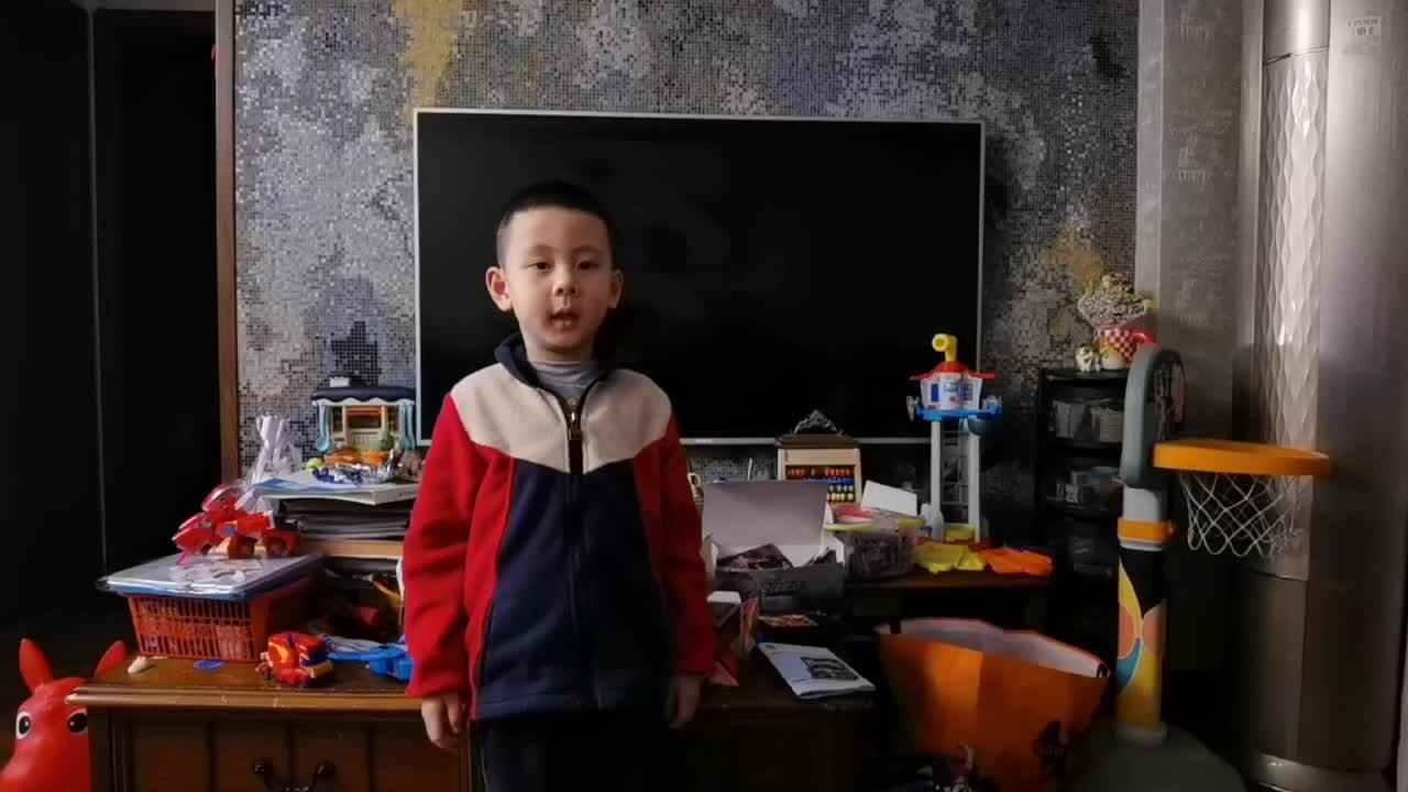 28369.mp4