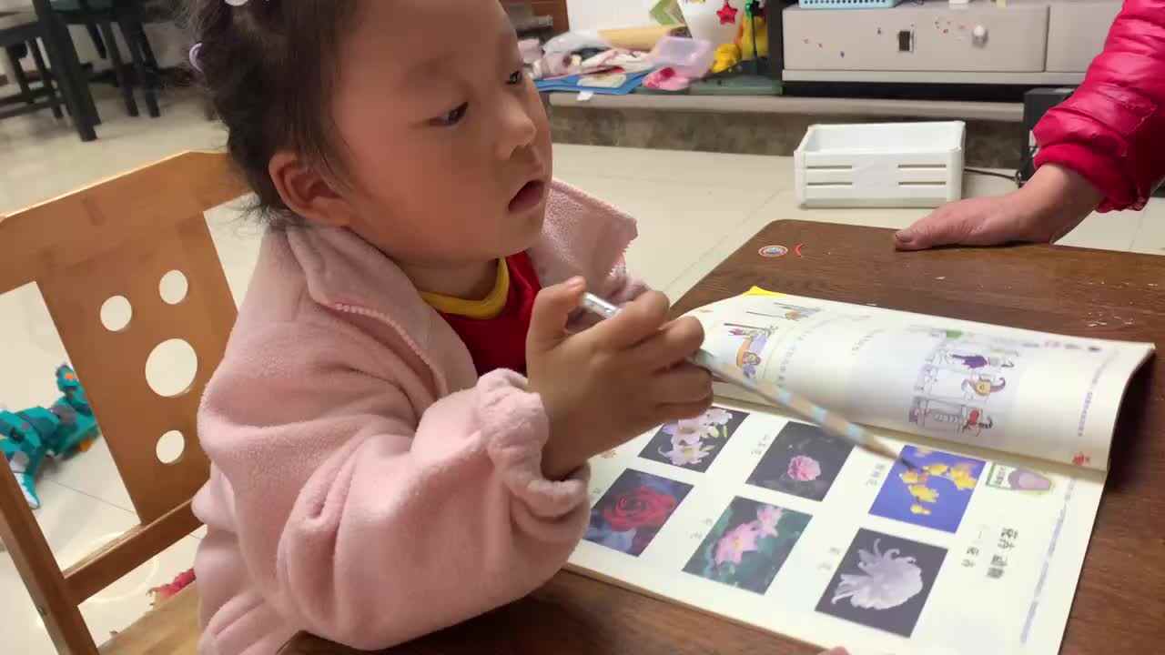 20240317陈灵兮闯关练习认识事物《花卉》