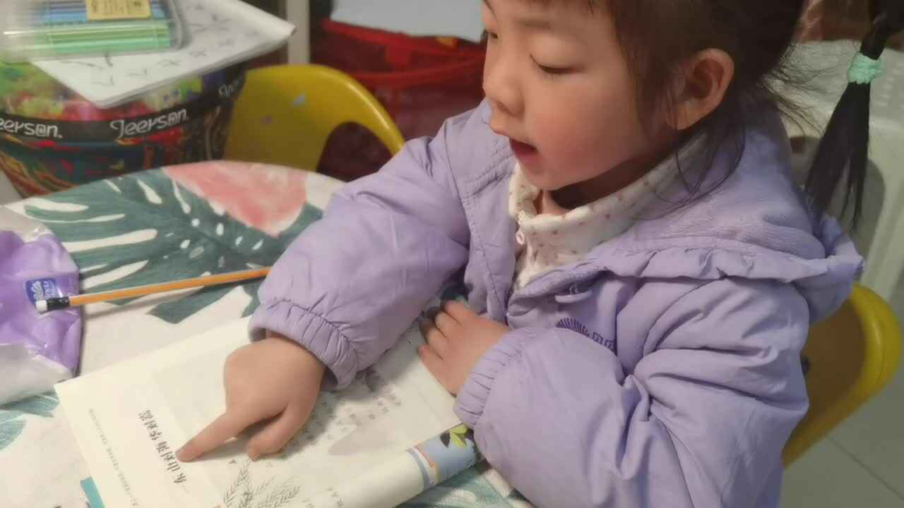 20240306大B班魏琪珈指读一东.mp4