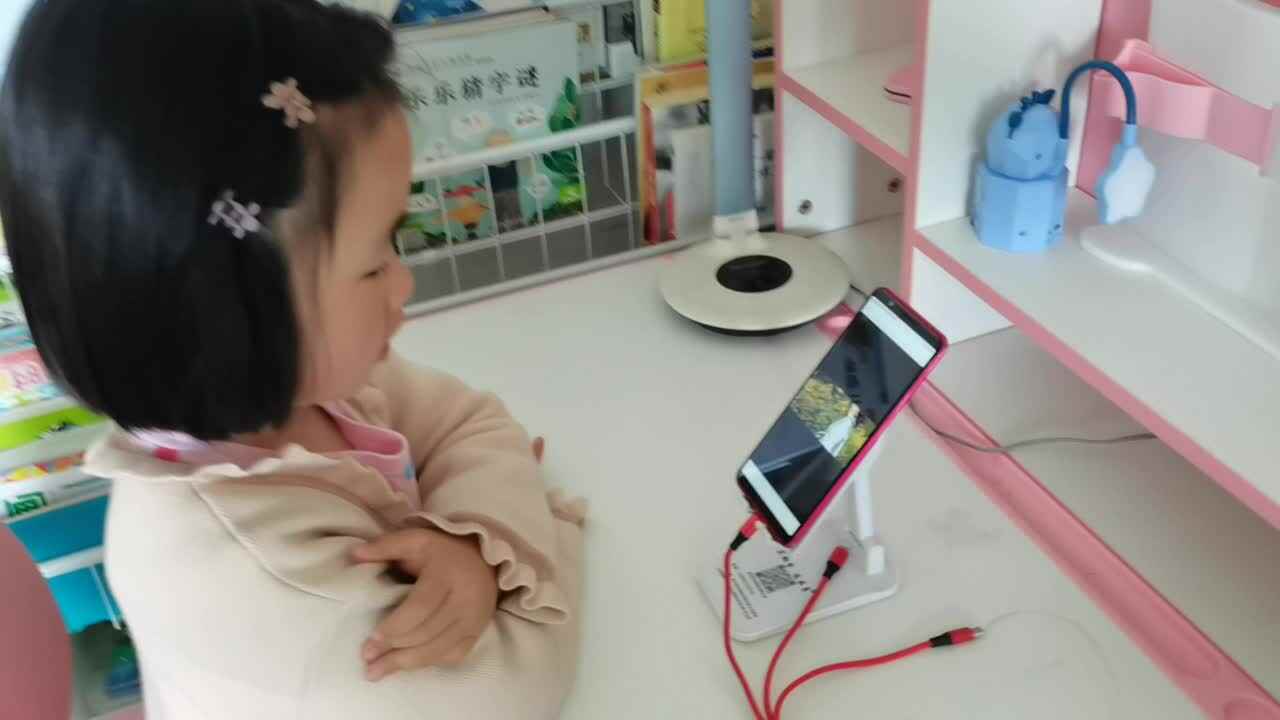 观看《奥林匹克公园》介绍视频.mp4
