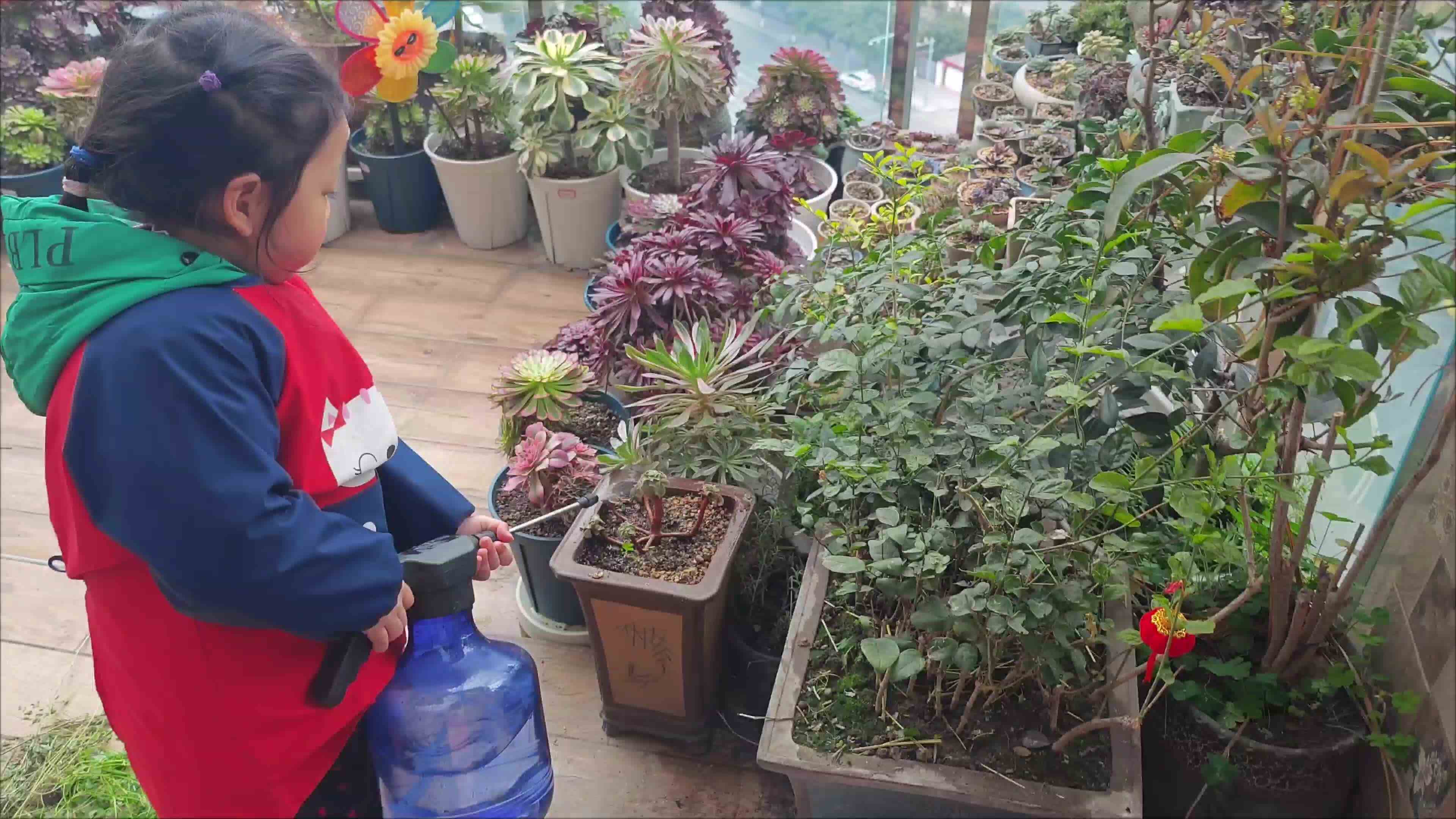 VID_20240310_233056.mp4