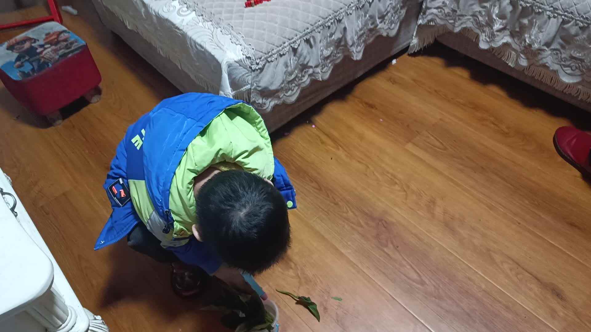 植树