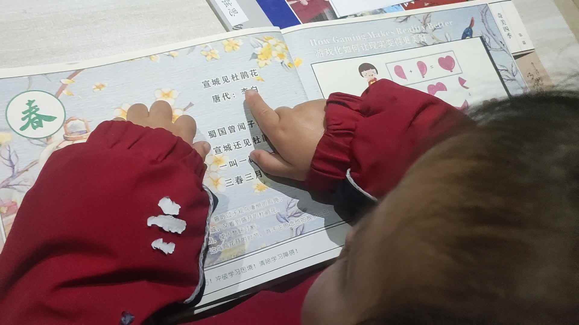 ⁣⁣⁣2024.3.8宣城见杜鹃花.mp4