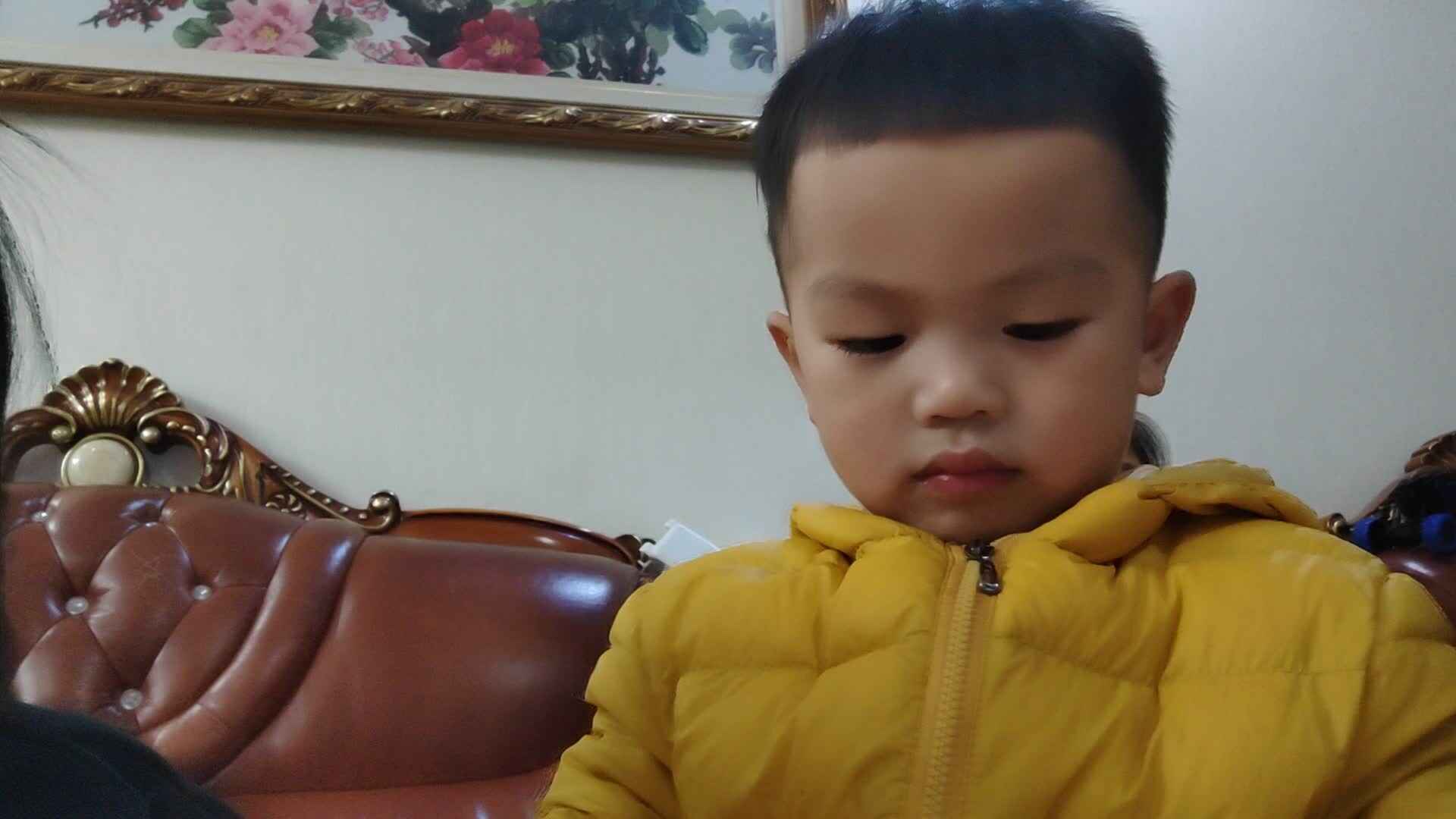 小a班2024.3.15陈禹呈—古诗《小池》