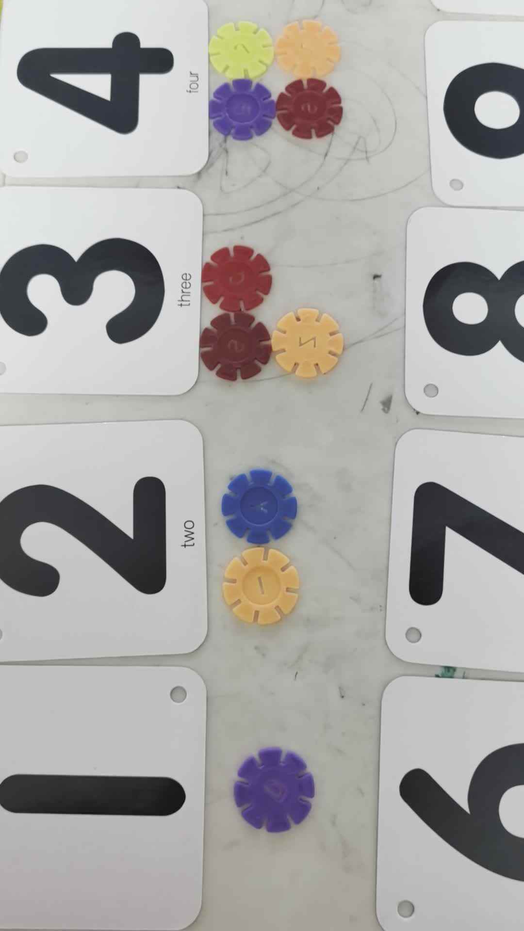 2024.3.8李梓睿单双数的认识