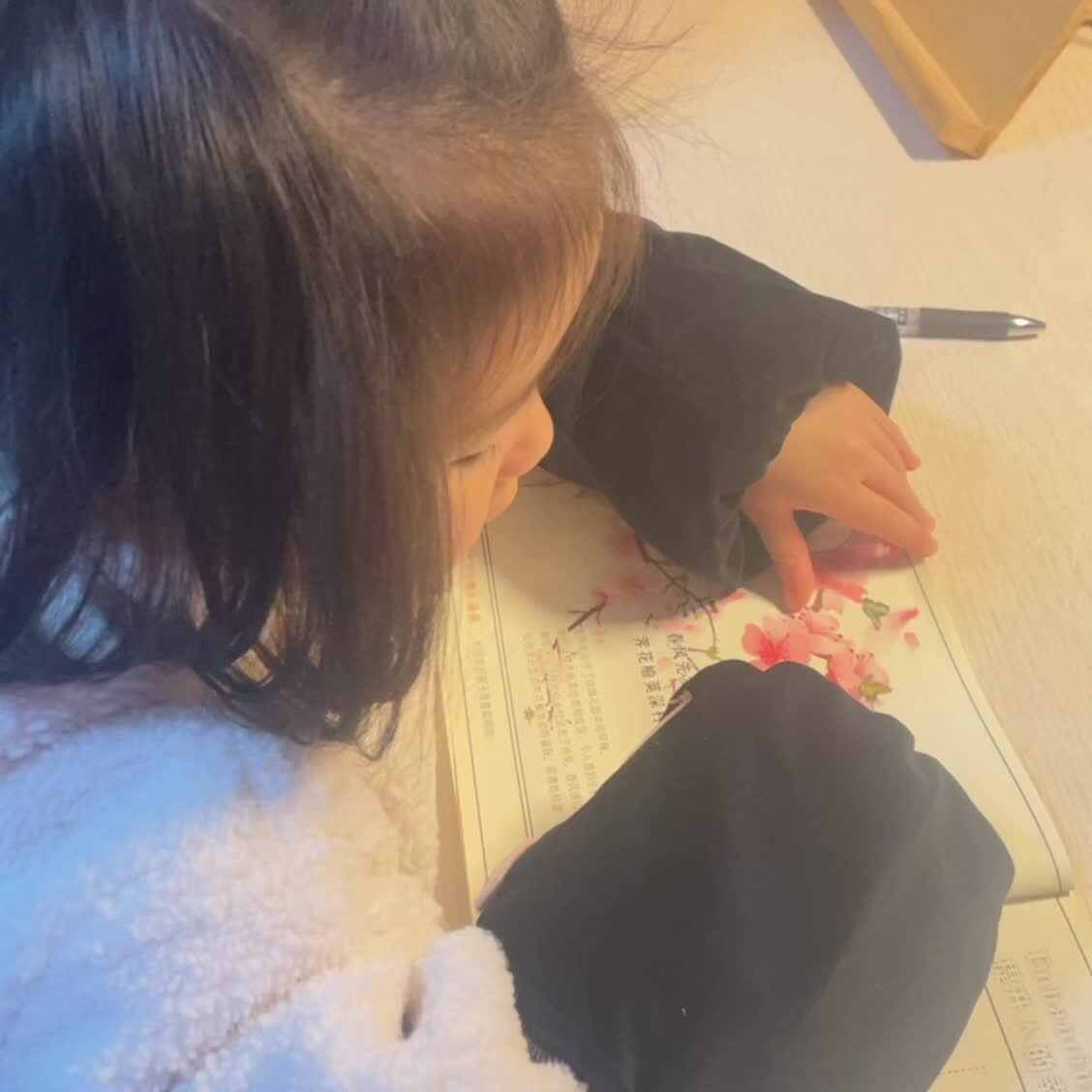 大B班蒲依诺2024.3.1日指读古诗(春风).MP4