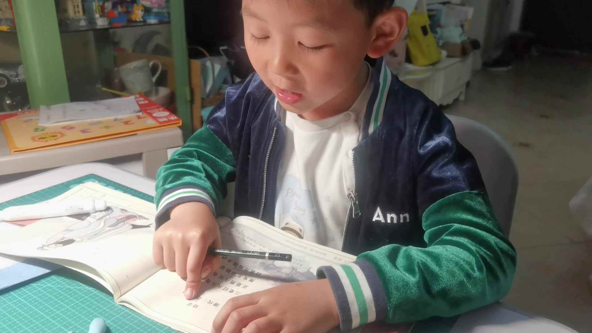 VID_20240326_192454.mp4