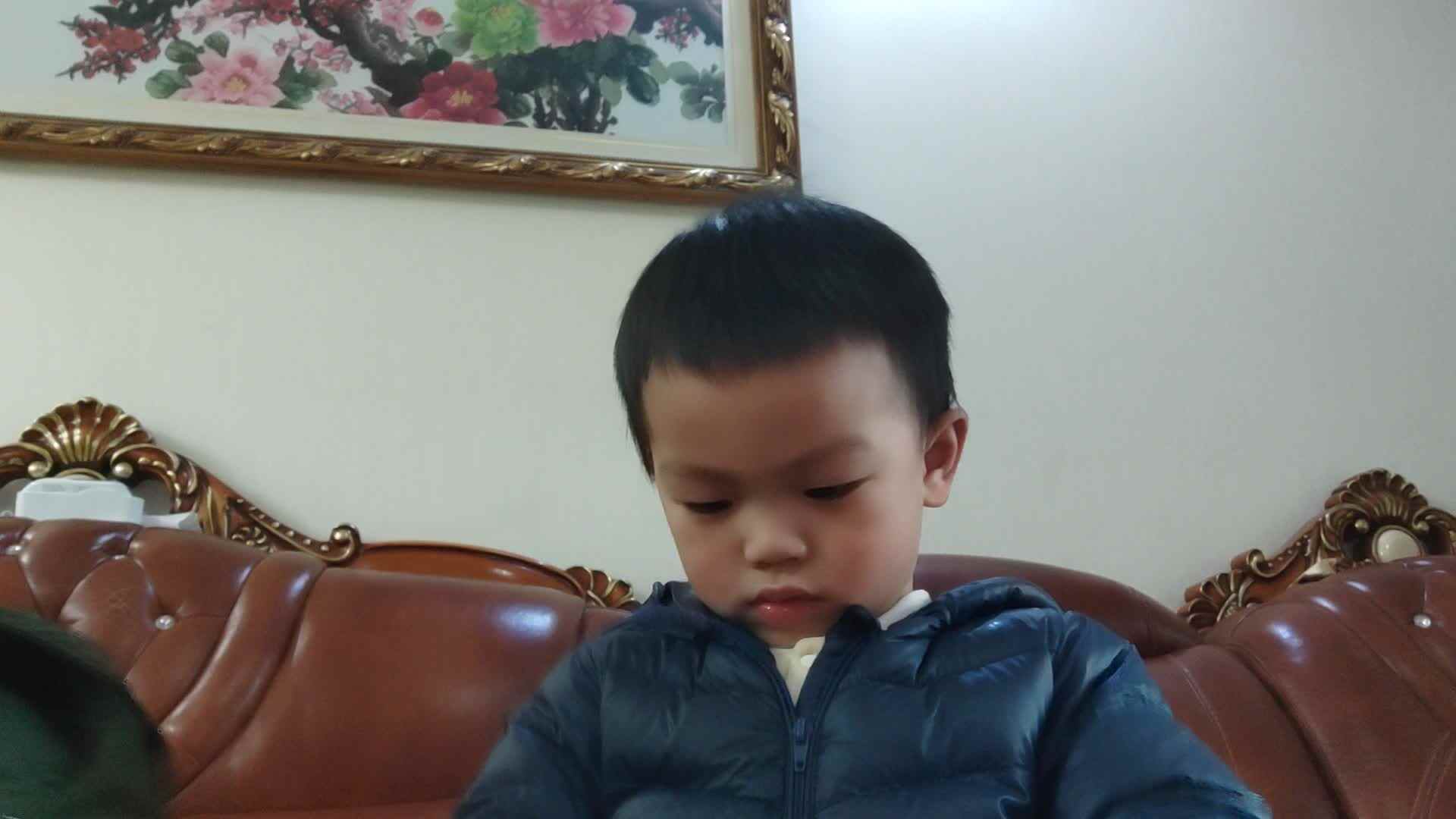 小a班2024.3.10陈禹呈—古诗：草