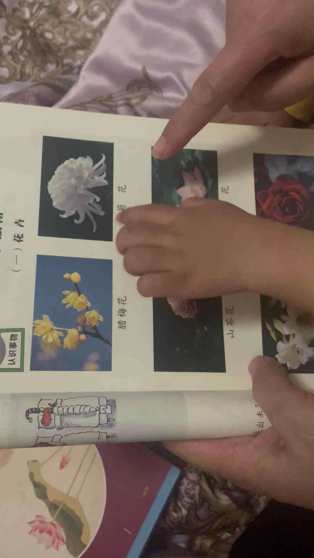 小a班2024.3.17刘珊伲学习《花卉-》.mov