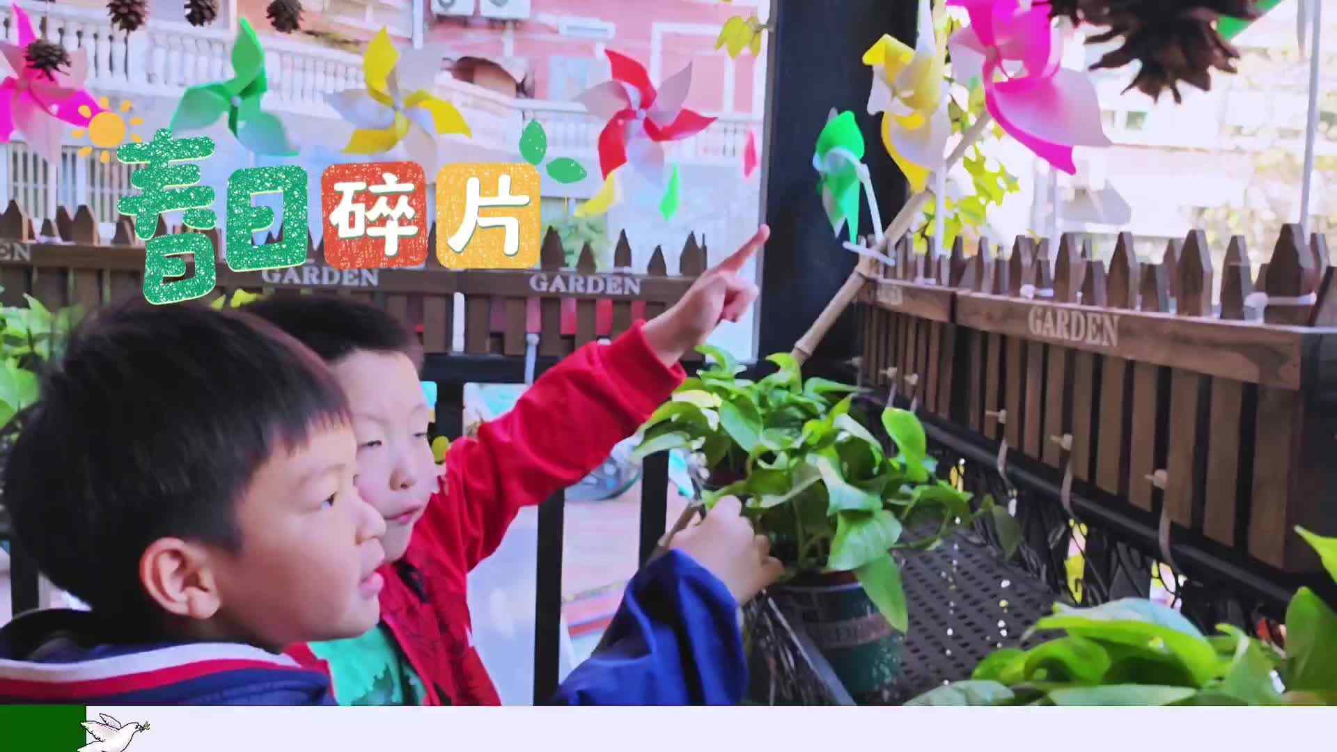 春日碎片