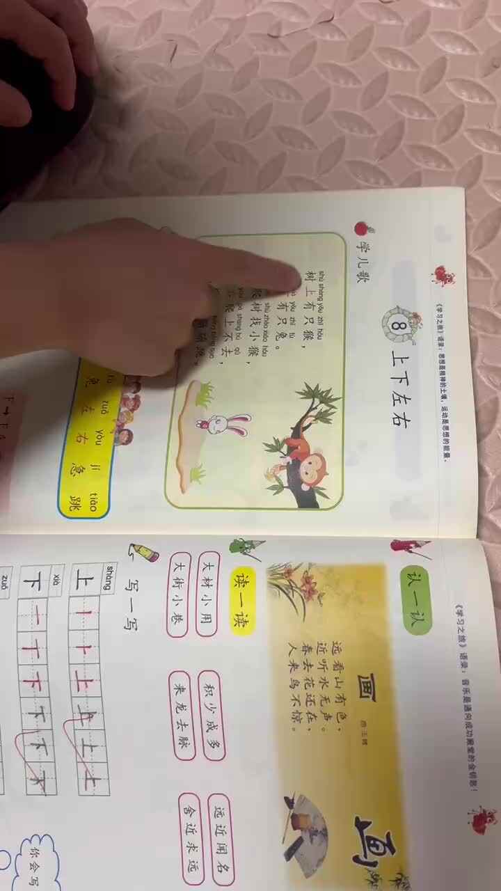 酉酉语文打卡