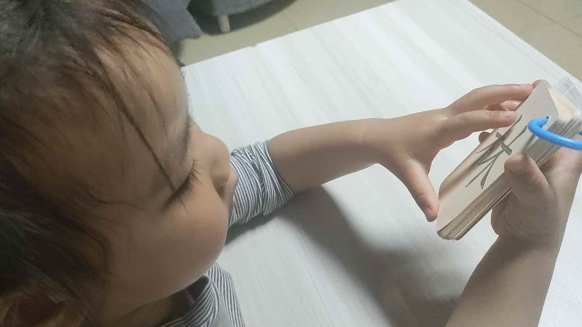2024.4.19认读汉字.mp4