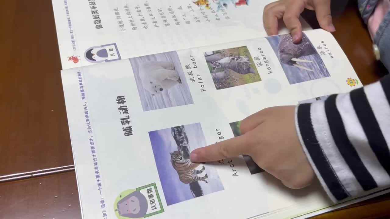 中B班李茵琪认识哺乳动物