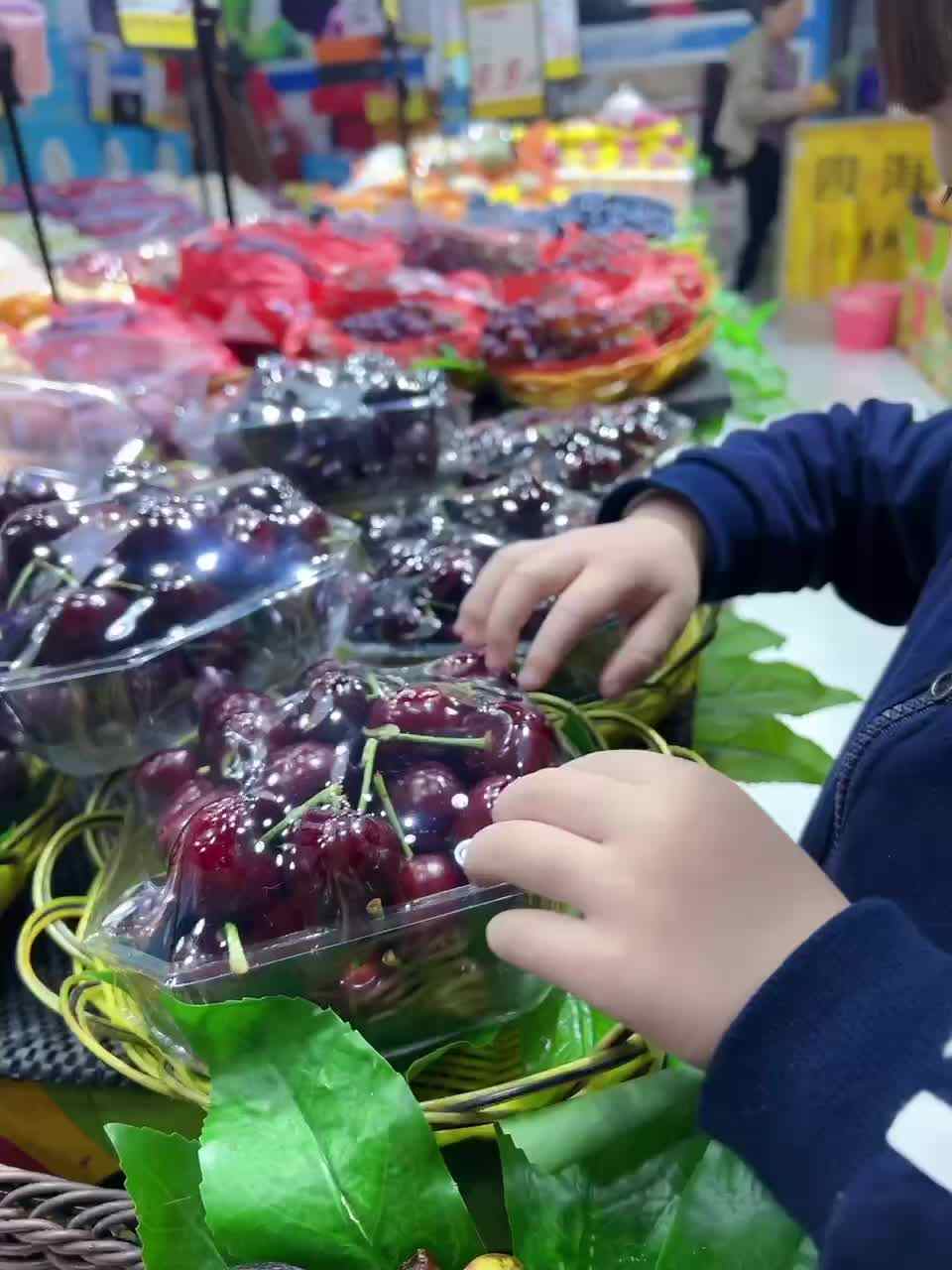 2024年4月24日～小A班夏爱林～英语《Fruit》MOV