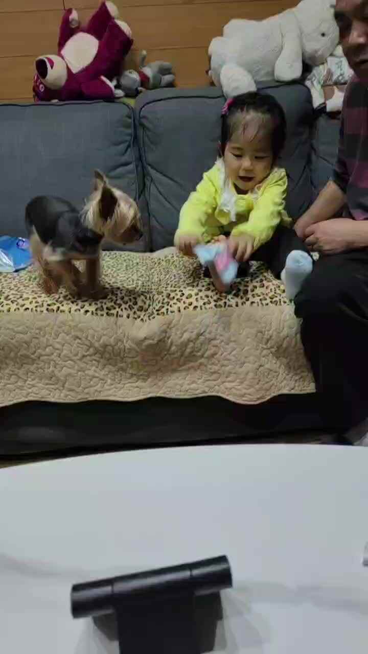 20240424+刘芳妤+小a班+生活练习穿袜子
