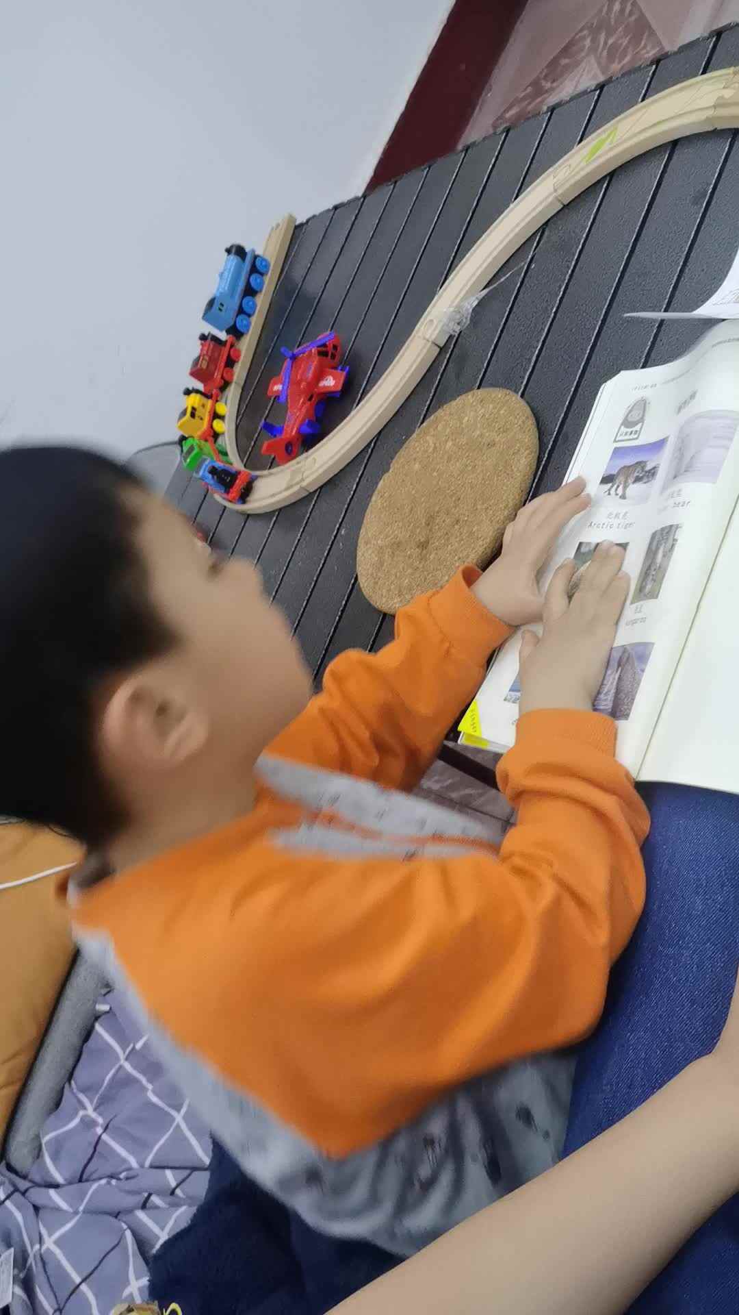 中B班王千与认识哺乳动物